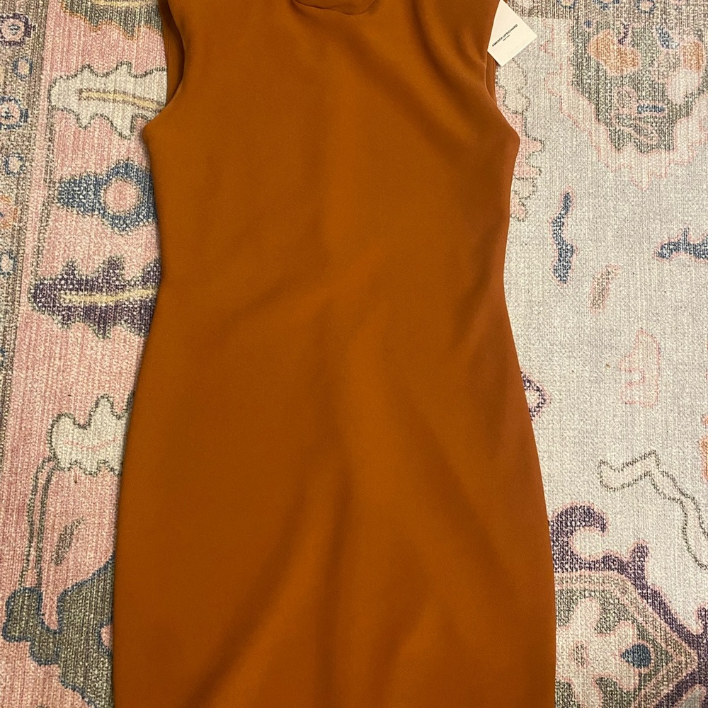 Amanda Uprichard Rust color dress